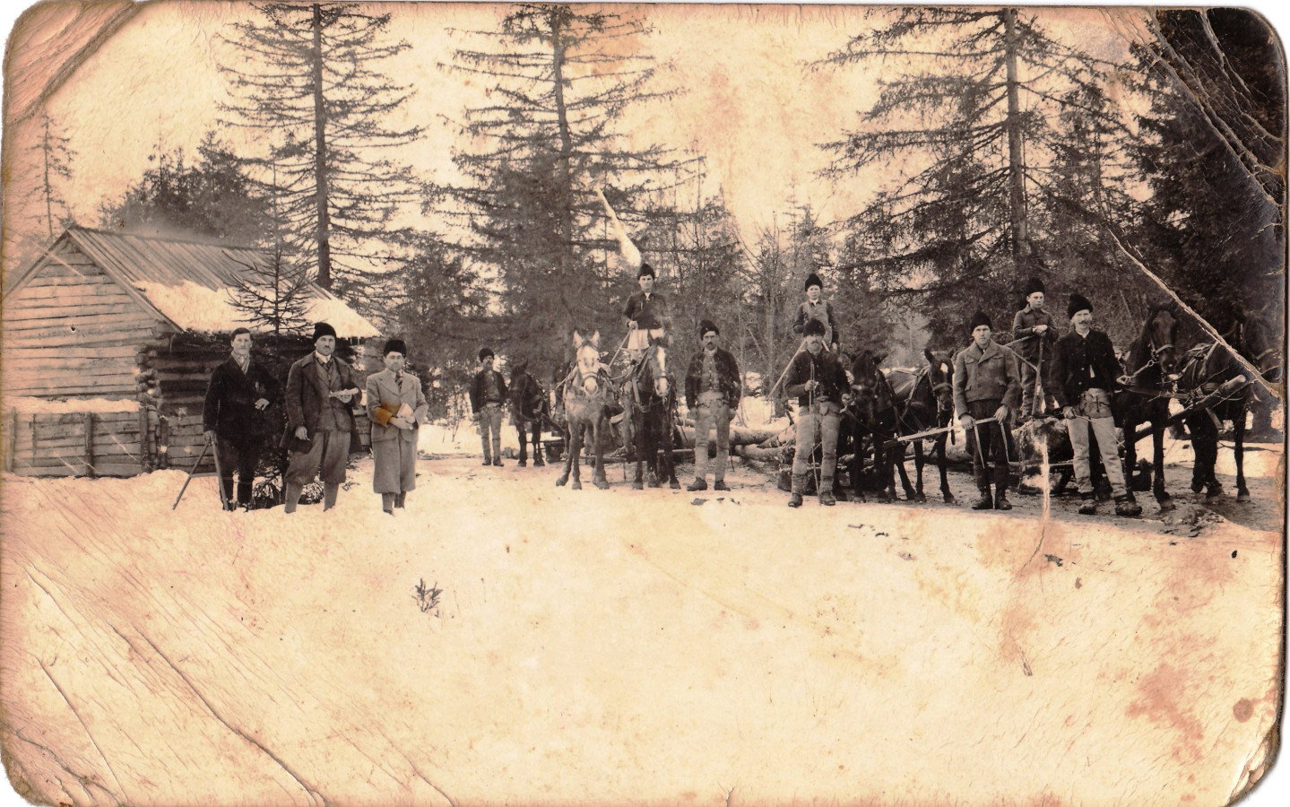 /storage/img/big_gyergyoremete-123a-belbor-borzos-fakitermeles-gyergyoremete.jpg