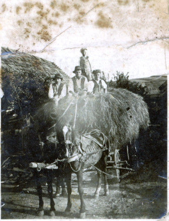 Brassai Antal szénát szállít 1952-ben