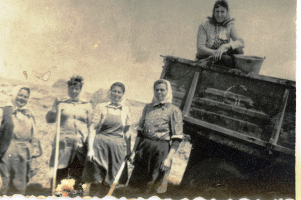 "Pityóka hányás" a remorkába 1984-ben