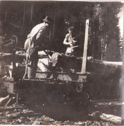 Páll István erdőmunkán 1965-ben
